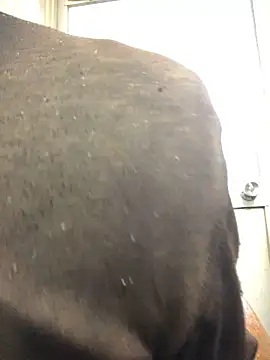 agaupt2 online show from December 16, 2025, 10:48 pm