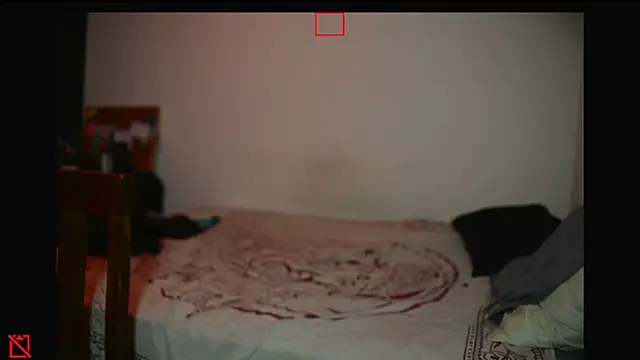 villanocat online show from February 6, 2025, 5:35 am