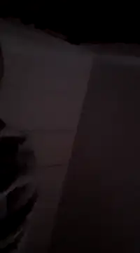 Snapshot of MIGHTY_MAGNUM chatting on December 9, 2024, 8:33 am MIGHTY MAGNUM online show from December 9, 2024, 8:33 am