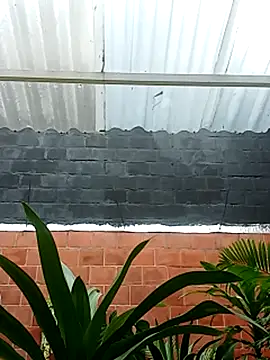 luchoarr online show from November 14, 2025, 12:59 pm