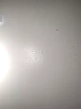 TickleMeKink online show from October 14, 2025, 8:59 am