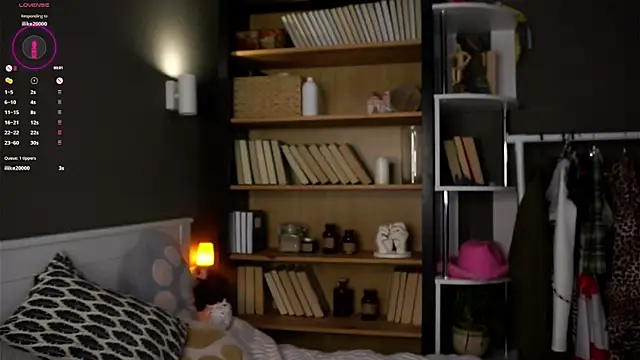 Snapshot of DarylBarks chatting on October 6, 2025, 1:14 am DarylBarks online show from October 6, 2025, 1:14 am