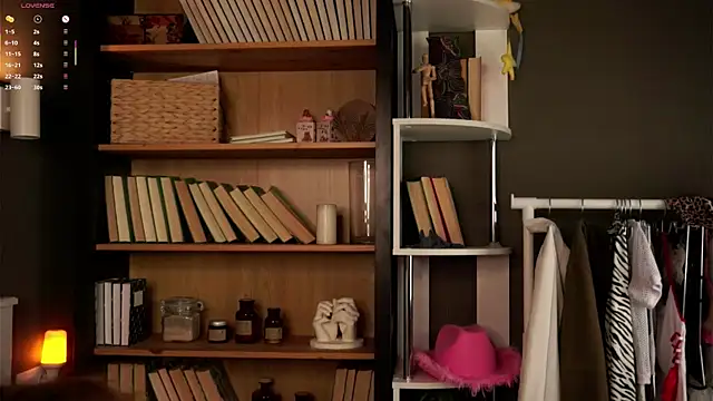 Snapshot of DarylBarks chatting on November 4, 2025, 1:05 am DarylBarks online show from November 4, 2025, 1:05 am