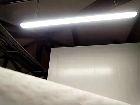 Piroca meladinha online show from January 10, 2026, 6:48 am