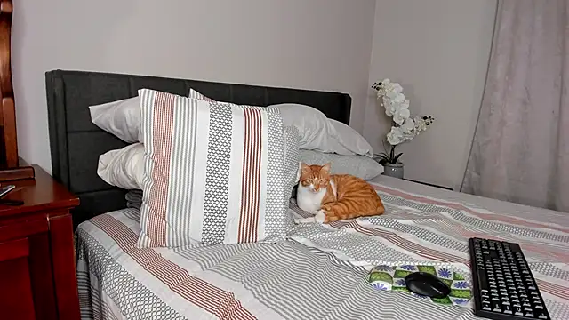 Angel 1997 online show from February 18, 2025, 11:30 pm