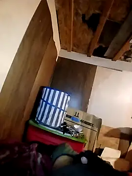 Snapshot of beliqi chatting on November 15, 2025, 5:49 am beliqi online show from November 15, 2025, 5:49 am