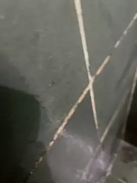 Snapshot of gzn01 chatting on October 28, 2025, 4:49 am gzn01 online show from October 28, 2025, 4:49 am