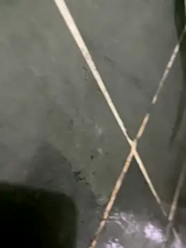 Snapshot of gzn01 chatting on October 30, 2025, 7:03 pm gzn01 online show from October 30, 2025, 7:03 pm