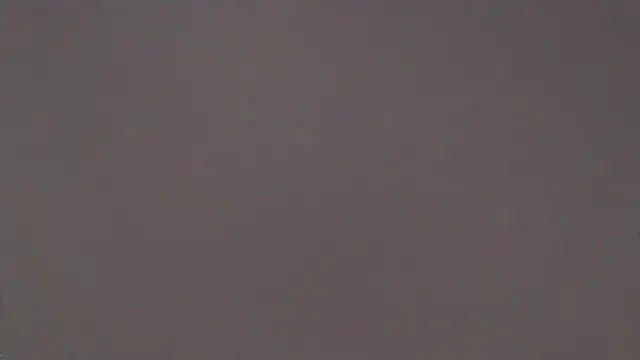 CaitlinaJayne23 online show from November 23, 2025, 6:13 am