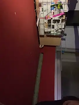 chavito2223 online show from February 10, 2026, 4:16 am