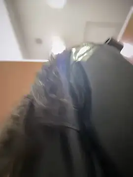 meow girl online show from February 5, 2025, 10:19 am