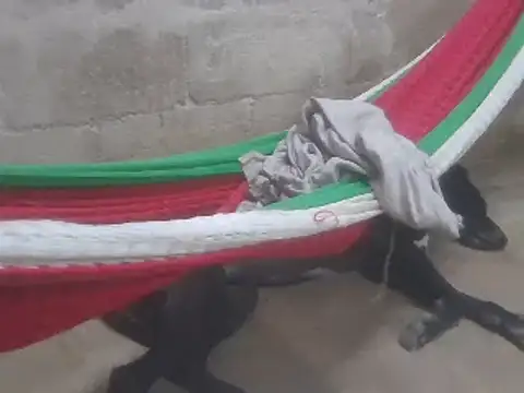 tripexnte online show from February 16, 2025, 11:26 pm