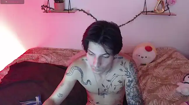 Apolo Hidalgo01 online show from December 29, 2024, 4:08 pm