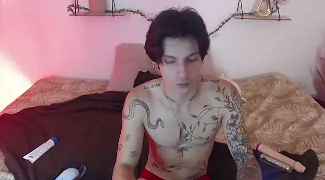 Apolo Hidalgo01 online show from January 6, 2025, 4:13 pm