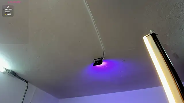 Amy Kiitty  online show from February 4, 2026, 12:44 pm