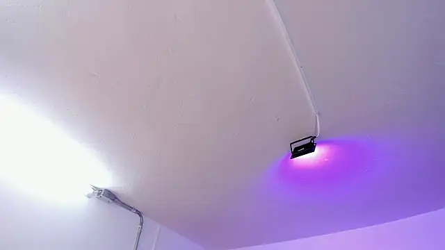 Amy Kiitty  online show from February 15, 2026, 12:58 pm