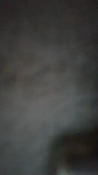 axelongshaft69 online show from February 25, 2025, 3:49 pm