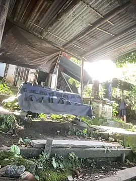 Jestebanano online show from April 2, 2026, 2:26 pm