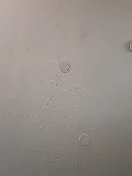 Snapshot of geilerschwanz64 chatting on January 6, 2025, 12:57 pm geilerschwanz64 online show from January 6, 2025, 12:57 pm