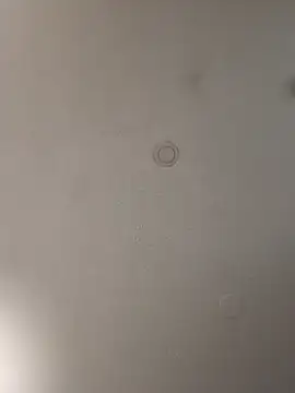 Snapshot of geilerschwanz64 chatting on January 15, 2025, 8:37 pm geilerschwanz64 online show from January 15, 2025, 8:37 pm