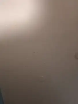 Snapshot of geilerschwanz64 chatting on January 19, 2025, 2:47 am geilerschwanz64 online show from January 19, 2025, 2:47 am