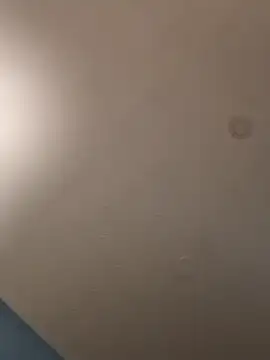 Snapshot of geilerschwanz64 chatting on January 21, 2025, 5:16 am geilerschwanz64 online show from January 21, 2025, 5:16 am