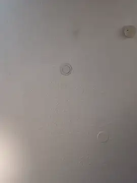 Snapshot of geilerschwanz64 chatting on February 19, 2025, 7:05 pm geilerschwanz64 online show from February 19, 2025, 7:05 pm