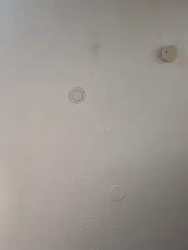 Snapshot of geilerschwanz64 chatting on February 21, 2025, 8:40 am geilerschwanz64 online show from February 21, 2025, 8:40 am