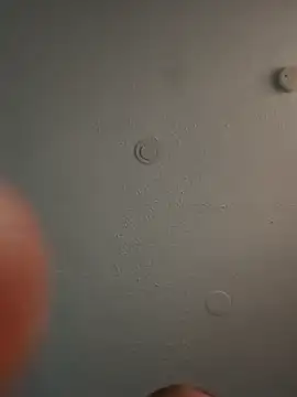 Snapshot of geilerschwanz64 chatting on March 6, 2025, 1:05 am geilerschwanz64 online show from March 6, 2025, 1:05 am