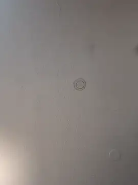 Snapshot of geilerschwanz64 chatting on March 19, 2025, 12:59 am geilerschwanz64 online show from March 19, 2025, 12:59 am