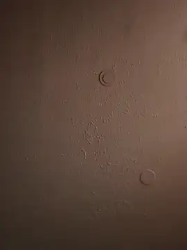 Snapshot of geilerschwanz64 chatting on March 20, 2025, 11:49 am geilerschwanz64 online show from March 20, 2025, 11:49 am