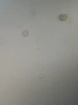 Snapshot of geilerschwanz64 chatting on March 20, 2025, 10:18 pm geilerschwanz64 online show from March 20, 2025, 10:18 pm