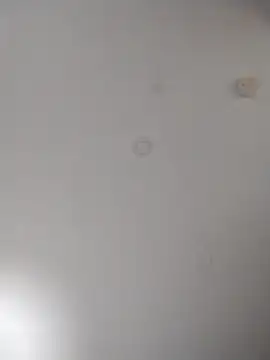 Snapshot of geilerschwanz64 chatting on October 10, 2025, 6:01 am geilerschwanz64 online show from October 10, 2025, 6:01 am