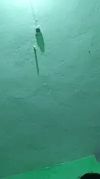 Snapshot of RADHAHO chatting on October 9, 2025, 7:23 pm RADHAHO online show from October 9, 2025, 7:23 pm