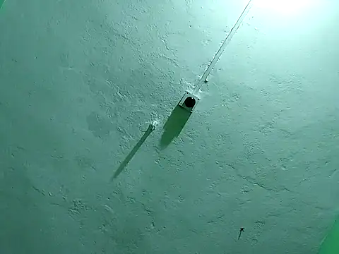 Snapshot of RADHAHO chatting on November 2, 2025, 9:50 pm RADHAHO online show from November 2, 2025, 9:50 pm