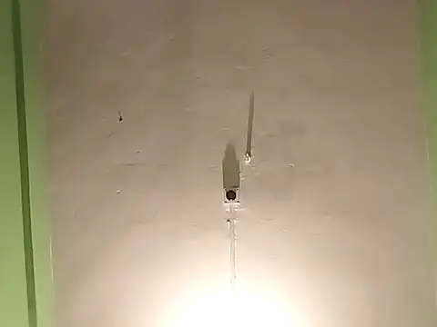 Snapshot of RADHAHO chatting on November 4, 2025, 5:34 pm RADHAHO online show from November 4, 2025, 5:34 pm