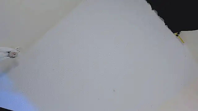 missycanoo online show from October 22, 2025, 12:44 am