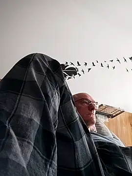 bogland33 online show from October 4, 2025, 12:14 pm