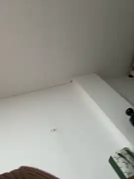 siri duque online show from January 7, 2026, 1:30 am