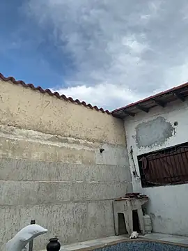 Leo bunny hot online show from October 13, 2025, 8:42 pm