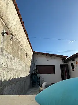 Leo bunny hot online show from December 13, 2025, 8:25 pm