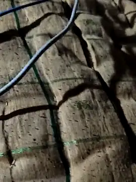 Snapshot of Kolkataboiy chatting on October 2, 2025, 10:50 pm Kolkataboiy online show from October 2, 2025, 10:50 pm