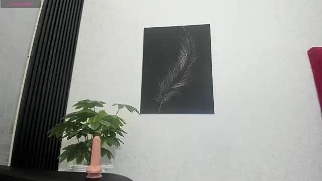 Snapshot of Cristopher23_ chatting on February 12, 2025, 7:45 pm Cristopher23 online show from February 12, 2025, 7:45 pm