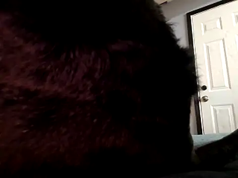 Snapshot of DevinToore chatting on October 29, 2025, 3:31 am DevinToore online show from October 29, 2025, 3:31 am