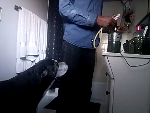 Snapshot of DevinToore chatting on October 31, 2025, 10:33 pm DevinToore online show from October 31, 2025, 10:33 pm