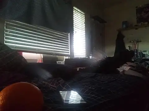 DevinToore online show from February 24, 2026, 6:39 pm