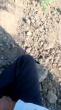 Snapshot of dickerdaddy25 chatting on February 18, 2025, 4:26 am dickerdaddy25 online show from February 18, 2025, 4:26 am