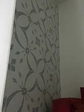 Snapshot of Carolinen chatting on January 12, 2025, 6:59 pm Carolinen online show from January 12, 2025, 6:59 pm