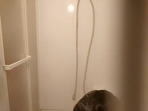 53kkkkkk online show from March 26, 2026, 2:22 pm