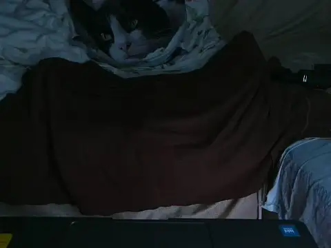 VeneRed online show from October 4, 2025, 9:24 pm